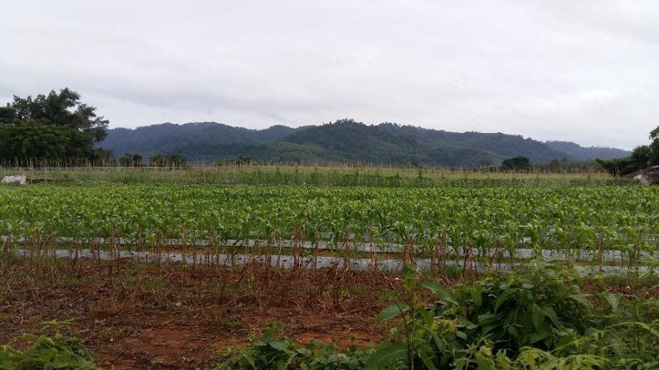 Dachatorn Village Khao Lak Eksteriør bilde